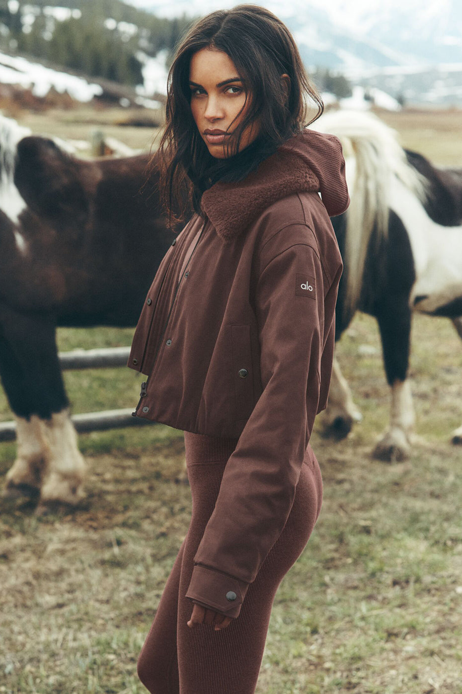 Navigator Jacket - Brownstone